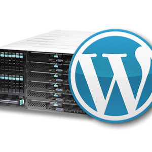 Wordpress 10 - Prix par an